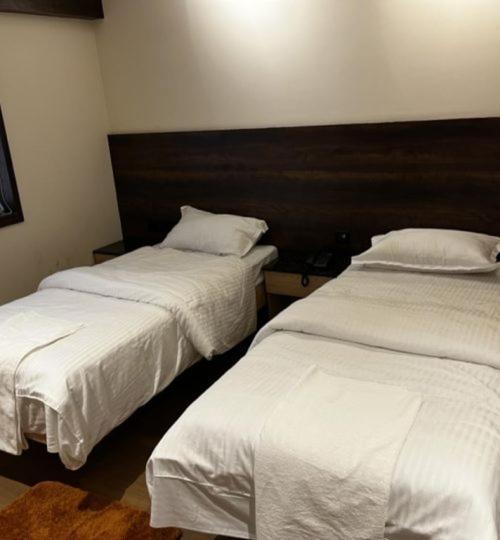 Ant Biz Rooms Near Chennai Trade Centre Екстер'єр фото